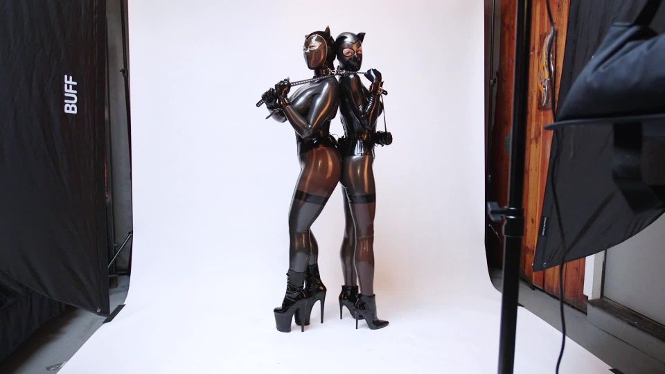 7438 Double Kitten Photo Shoot