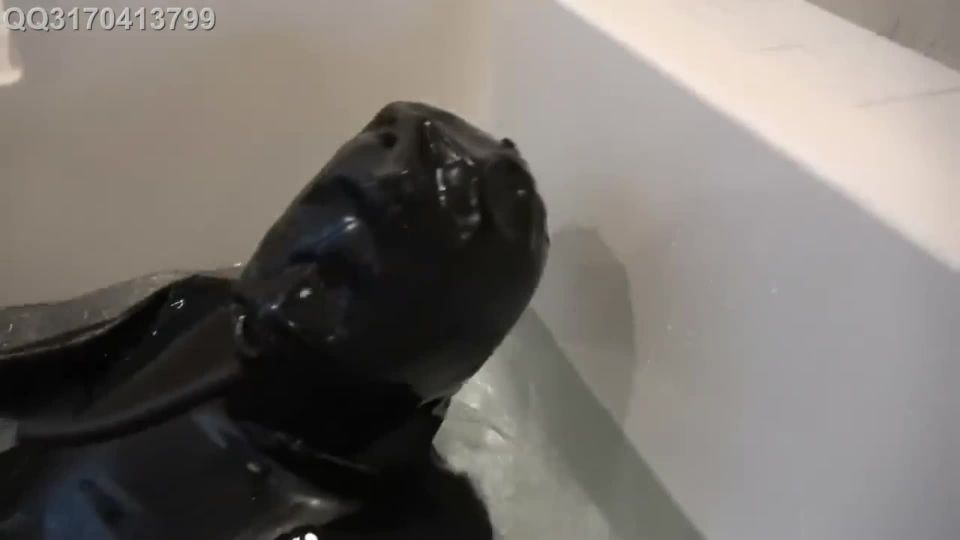 7250 Rubber Dog Water Blame Close Call