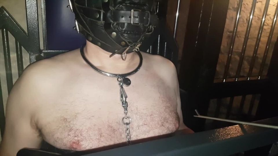 Amusement Park Part2 Sex Clip Video Porn Download Mp4