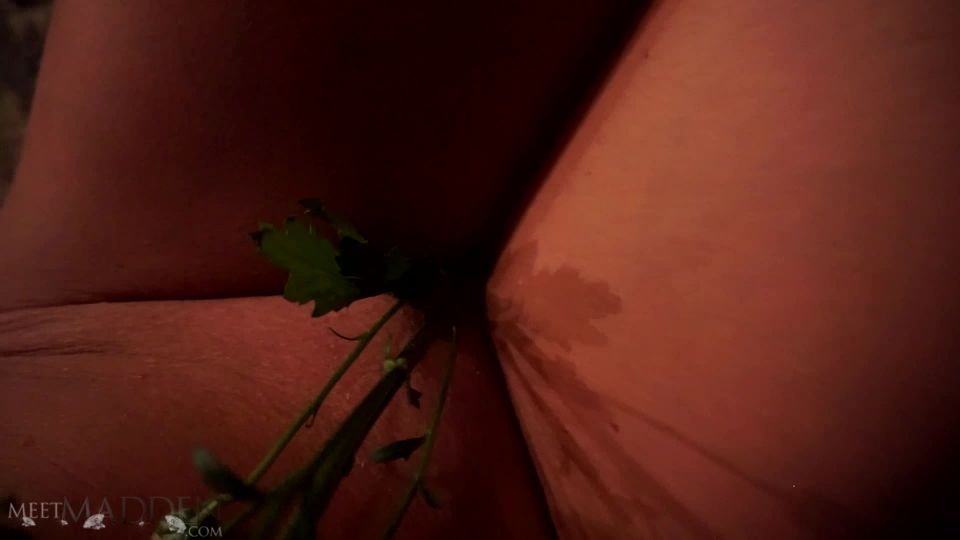 Conoce a Madden - Dulces Petales 033121