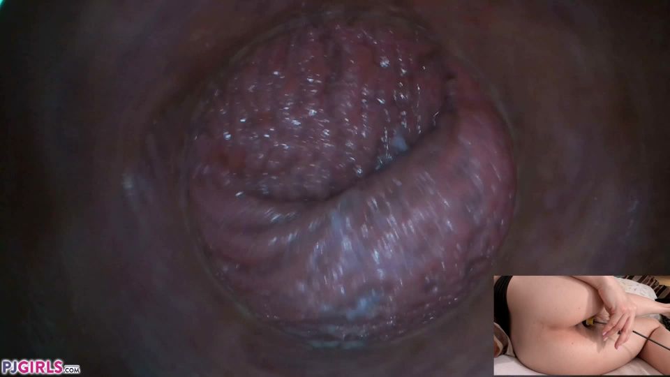 adult video clip 45 2020-04-04 – Lily Joy – Pussy Cam RAW Footage,  on toys 