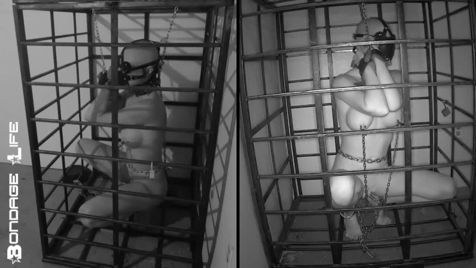 online xxx video 20 mature lesbi bdsm Bondage Life: More Storage Time For Greyhound (Release date: Aug. 24, 2021) Bondage, bondage on bdsm porn