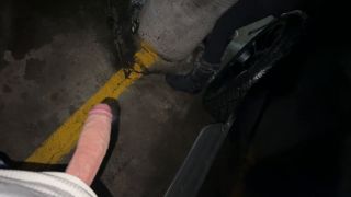 Video Anal In The Restroom And a Steamy BJ In The Parking Lot TheRy...