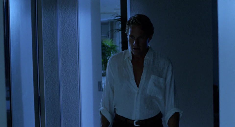 Shannon Tweed, Adrienne Sachs, etc – In the Cold of the Night (1989) HD 1080p - [Celebrity porn]