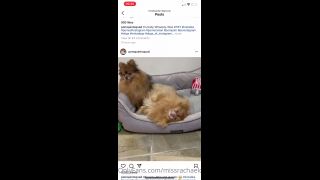 Rachael x - missrachaelcx () Missrachaelcx - sorry boys i have been in and out the hospital past days with appointments 15-01-2021