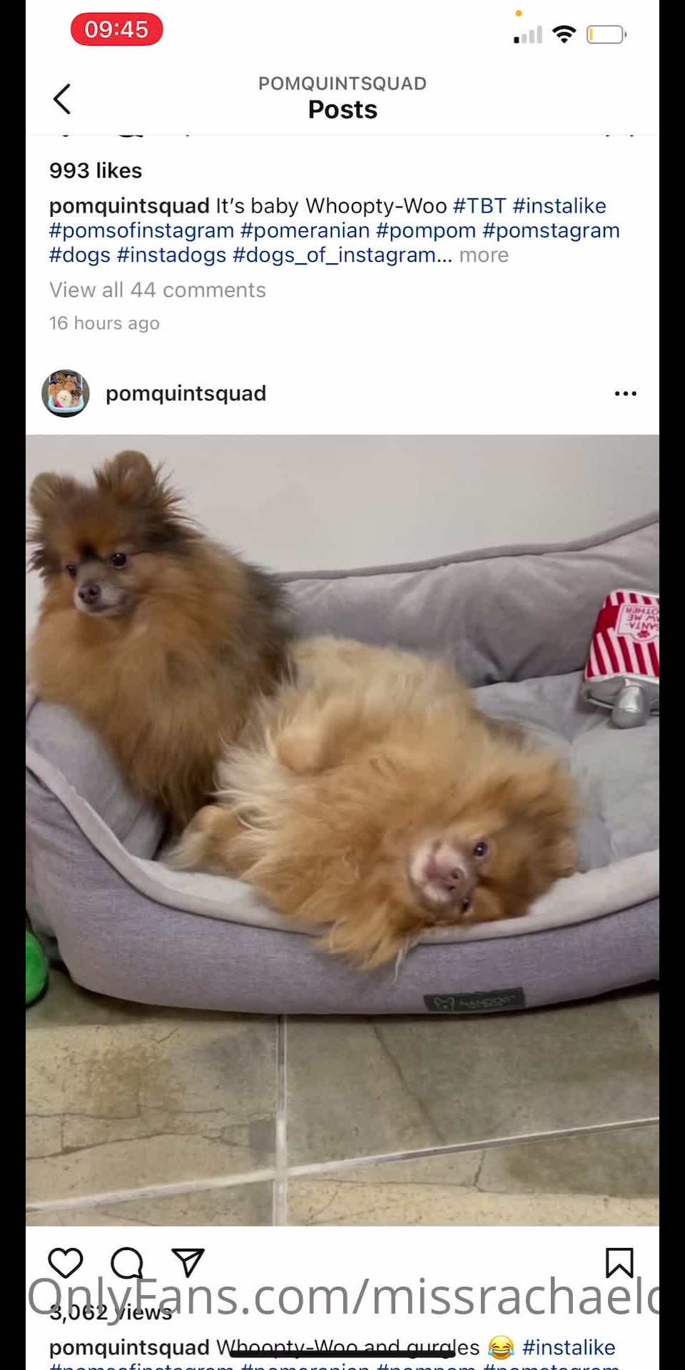 Rachael x - missrachaelcx () Missrachaelcx - sorry boys i have been in and out the hospital past days with appointments 15-01-2021