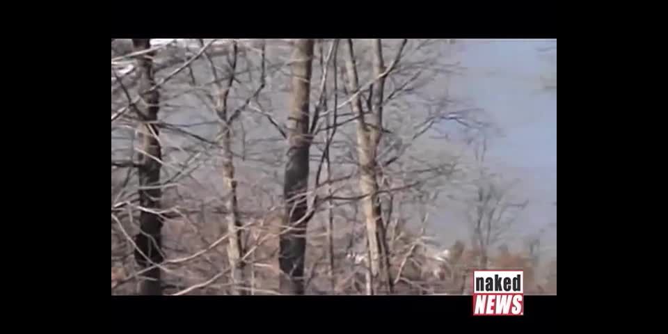 Naked News - January 27 2013