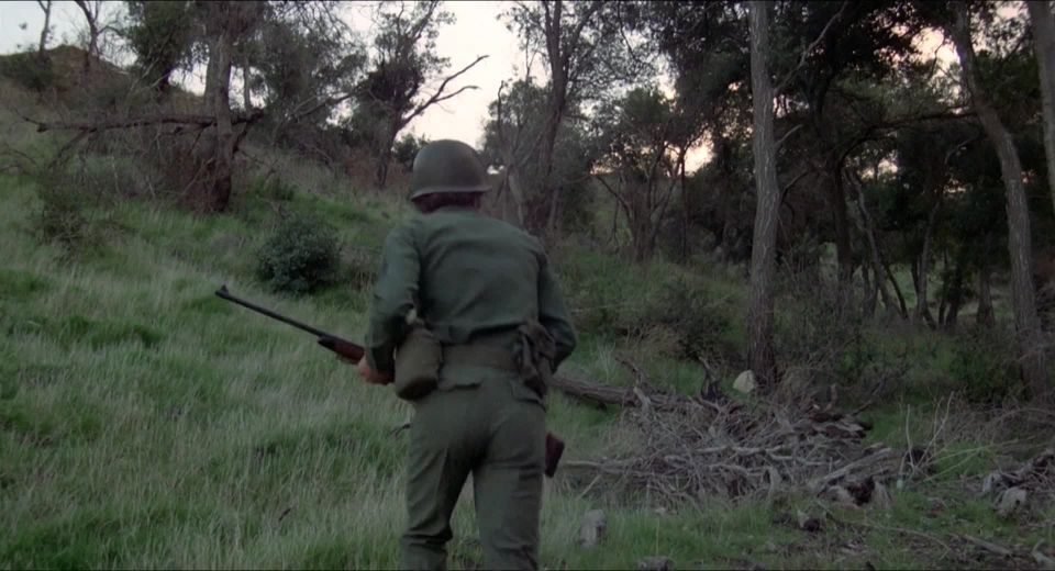 Susan Player - La invasión de las Bee Girls (1973) HD 1080p - (Celebridad porno)