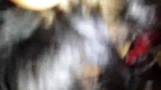 Amateur Blowjob 2422