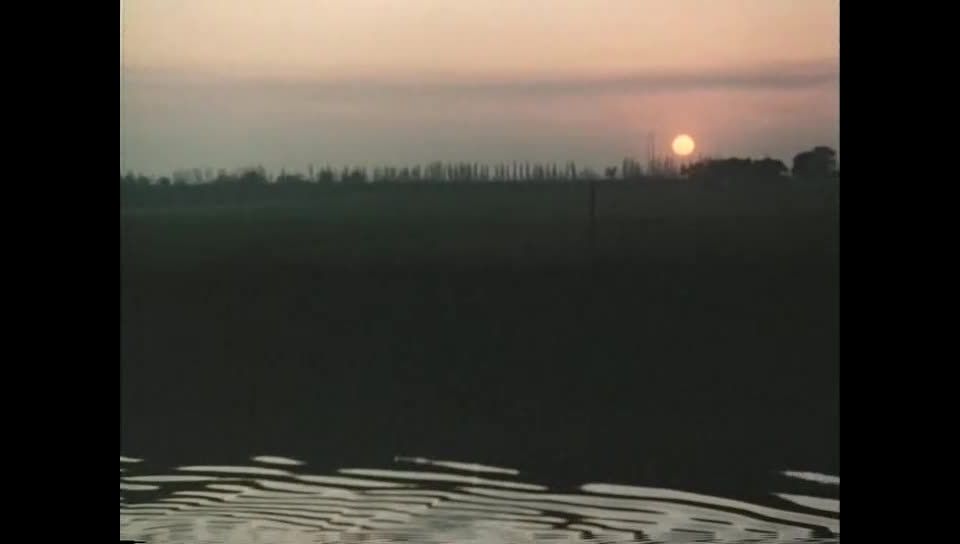 7172 society affairs