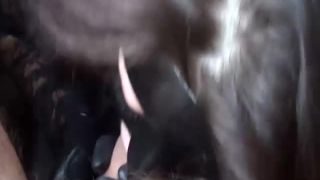 adult video 9 dirty amateur BiteTheAss.Com Best Adult Pron site, shemale on german porn