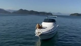 clip 2 Viva Latina #3 on cumshot converse fetish