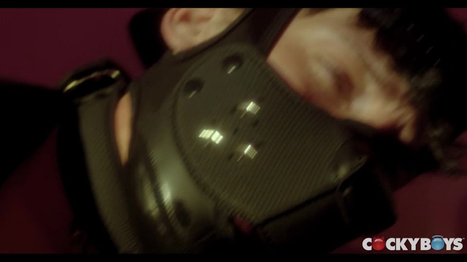 Edward Terrant &amp; Leo Louis*