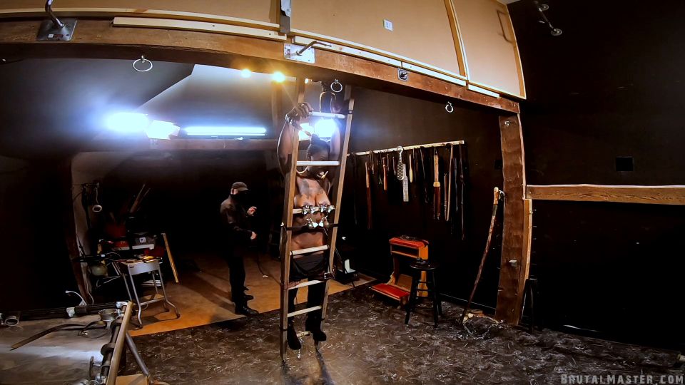 video gratis 44 Fuckmeat First Time En el infierno [Full HD 2.44 GB] - humillación - fetiche porno pornbb fetiche