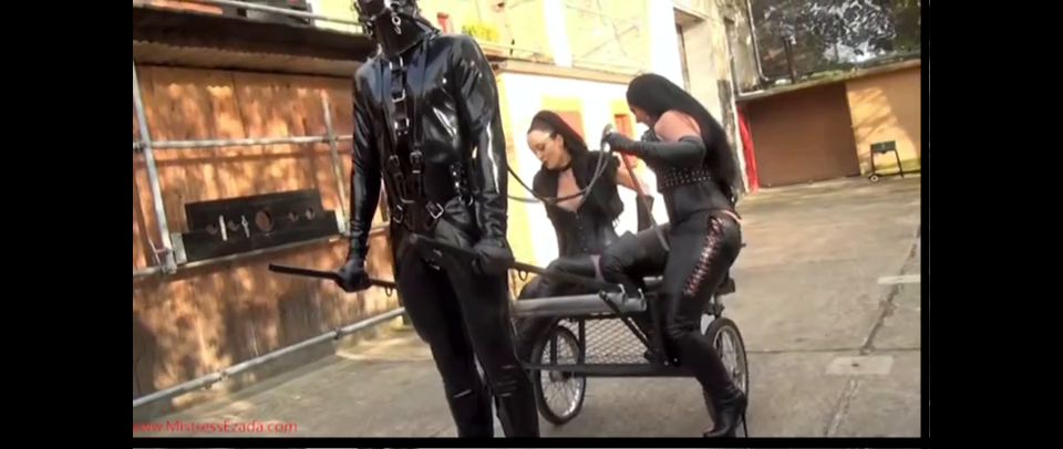 Latex pony for sale.