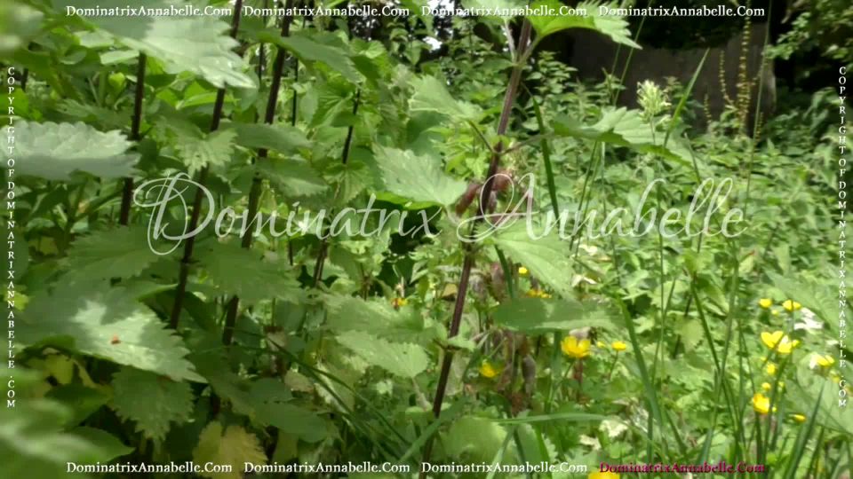 adult xxx clip 44 Dominatrix Annabelle – Leather, Whips and Stilettos! on femdom porn owk femdom