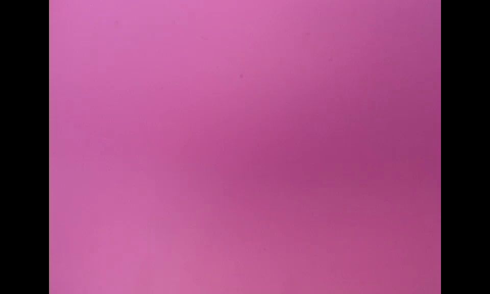 NiñasSecretaría - Holly - Adolescente