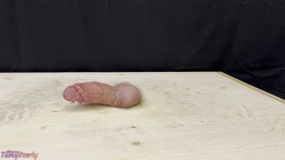 online xxx clip 27 TamyStarly CBT and Bootjobs - Hard Bootjob In Riding Boots 2 Povs With Tamystarly Ballbusting Cbt Trampling Femdom Shoejob Crush Ball Stomping Foot Fetish Domination Footjob - FullHD 1080p - trampling - fetish porn young foot fetish