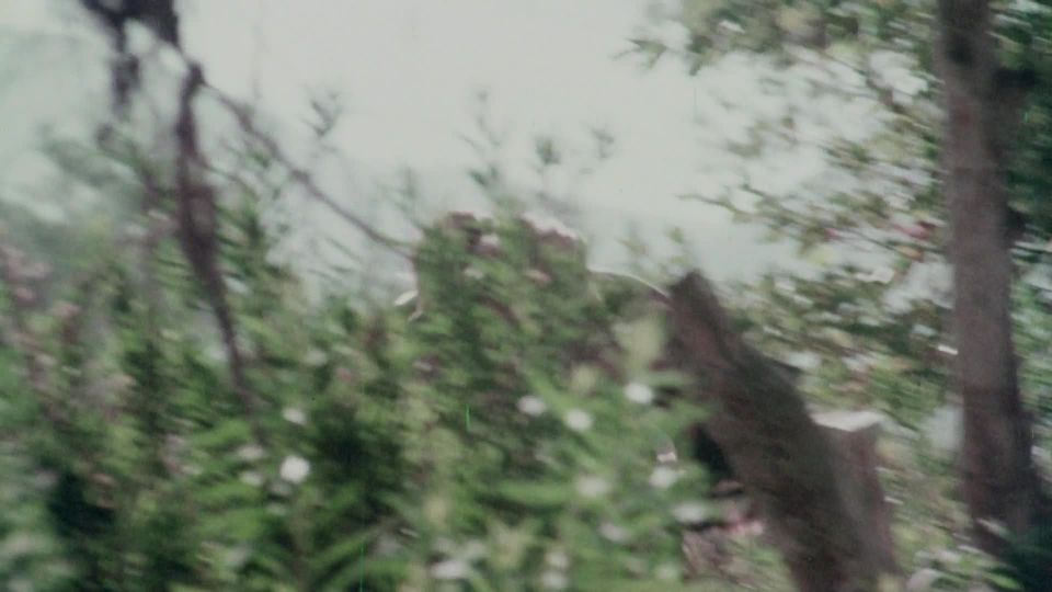 xxx video 8 The Bushwhacker - classic & vintage softcore - fetish porn fetish liza