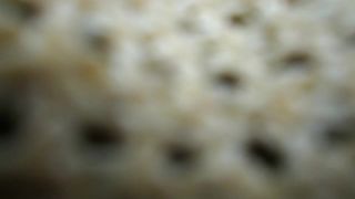 porn clip 7 Big wine bottle deep penetration in wifes pussy in doggy style pose on fisting porn videos girls big ass sex hardcore sex