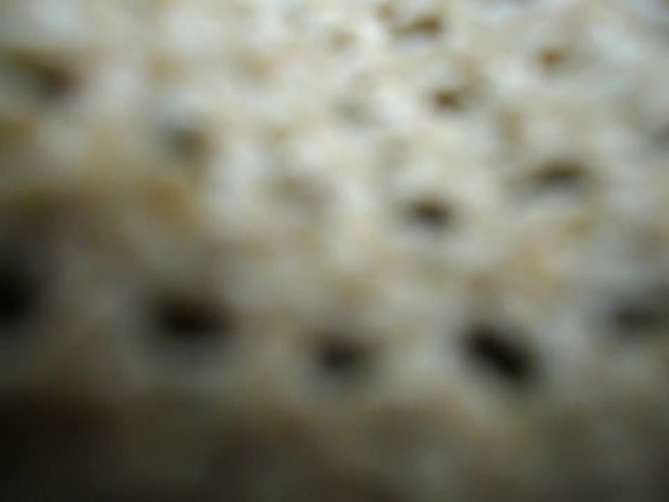 porn clip 7 Gran botella de vino penetración profunda en esposas coño en perrito pose en fisting videos porno chicas culo grande sexo hardcore sexo