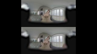 Riley'n'You - Riley Reid Oculus