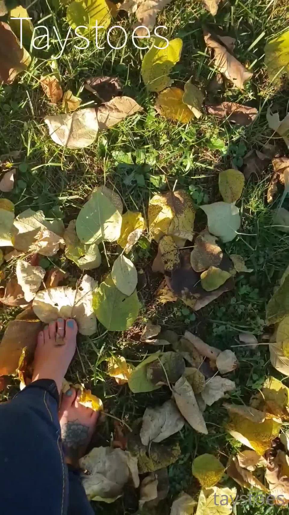 xxx video clip 25 Taystoes / Onlyfans - descalzo hoja aplastando filmado esta semana pasada y no salió como ir 11-11-2020 - Pie  hardcore  hardcore porno japonesa chica hardcore