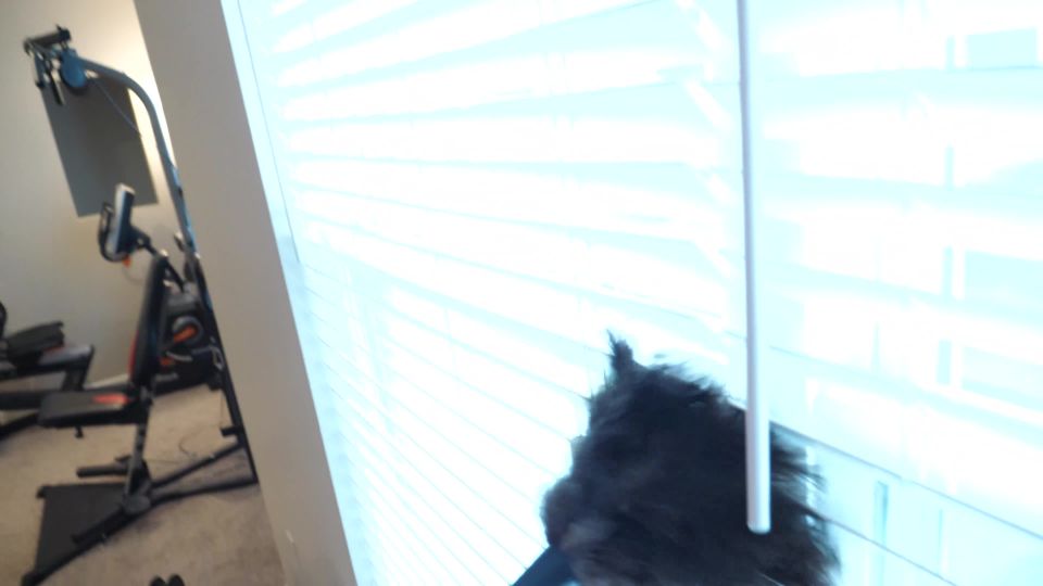 Girls Gone Hypnotized  GirlsGoneHypnotized – Juniper Becomes a Good Girl  Girls Gone Hypnotized