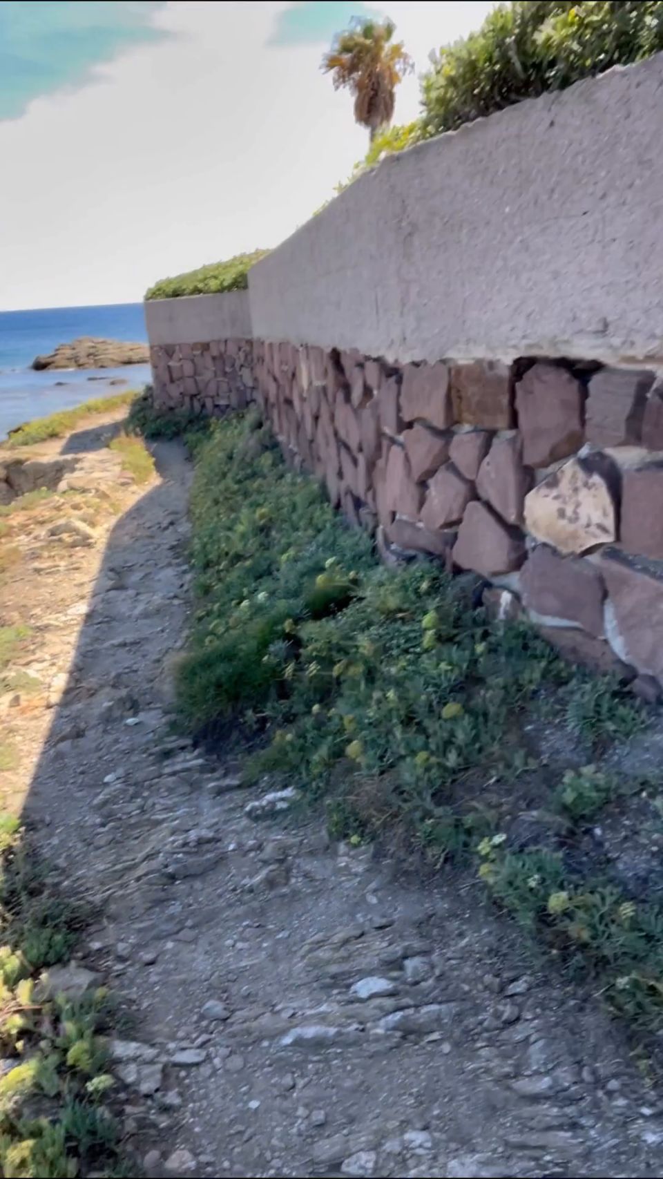 Vittoria divina x55831146 vídeo 2023-09-21 13-06