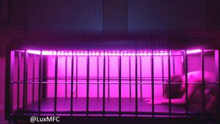 online xxx video 30 casey calvert femdom femdom porn | LuxNeon - Bratty Slave Begs &Amp; Seduces For Freedom | pov