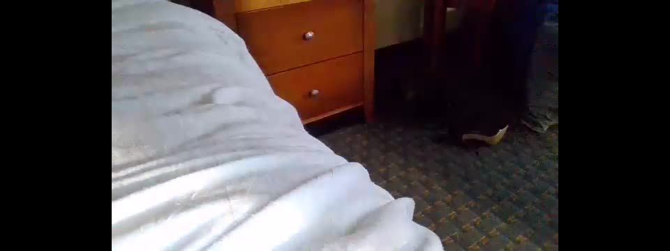 Shemale Webcams Video for March 30, 2020 – 15 - (Shemale porn)