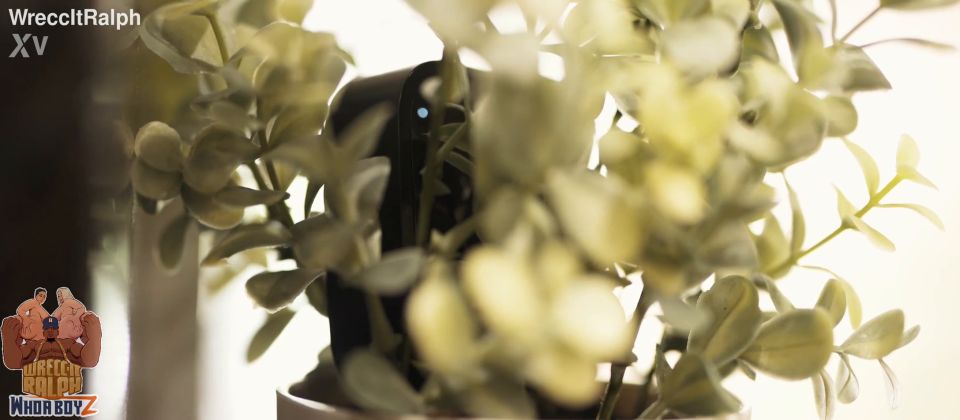 WreccItRalph – Petite Slut Wife Got Caught On Home Camera Cheating On Her Husband With Bbc – XvideosRED.