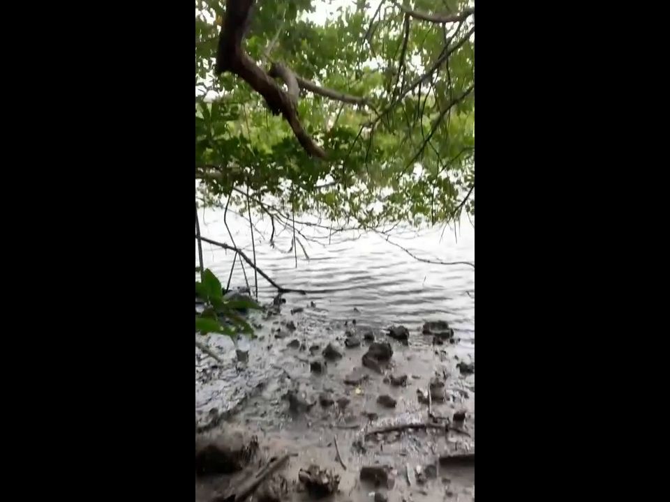 free porn clip 38 Kelsi Monroe - Gets Fucked On AHike - [Onlyfans] (HD 720p) | anal | femdom porn julie simone femdom