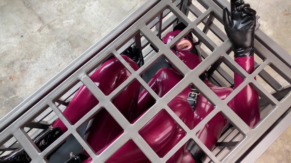 Mbot - mdollbot () Mdollbot - the poor poor kitten 16-10-2020