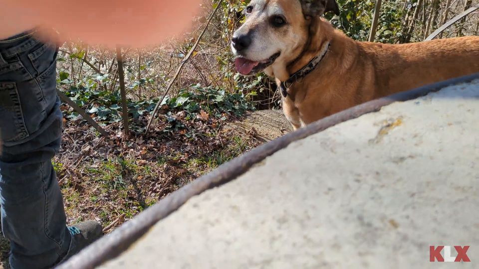 KLXKinkLoversX - On a Dog Walk, we end up Fucking and get Caught! - Public Sex [1080p] - Teen