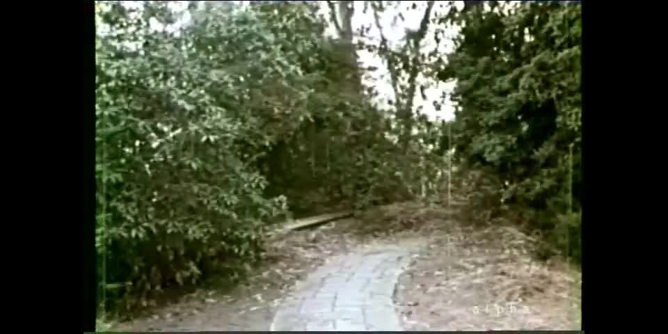 A Taste of Hot Lead (1969)!!!