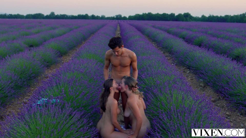 video porno 7 Mia Melano, Stacy Cruz, Naomi Swann, Kenna James, Scarlett Bloom, Kira Noir, Avi Love, Savannah Sixx, Nia Nacci, Honey Gold Dos Chicas Mamada Compilación  hardcore  hardcore porno hardcore gay sex