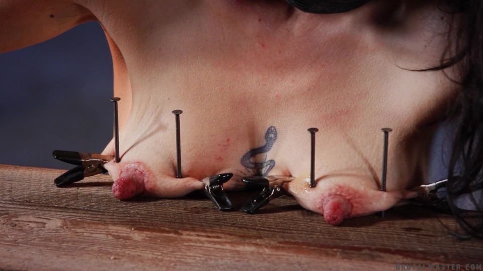 online xxx clip 1 BrutalMaster – Teta de perro Clavado y ordeño Capítulo 2  bdsm  fetiche porno femdom pene