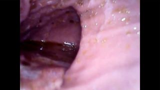 xxx clip 38 femdom tickling femdom porn | Giantess KatieGulps and Friends - Extra Toppings Extended Cut - FullHD 1080p | giantess