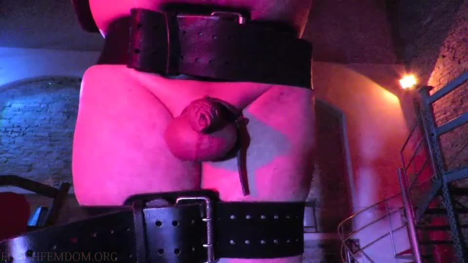 xxx video 40 Danish Femdom - Electric Crucifixion, catwoman femdom on fetish porn 