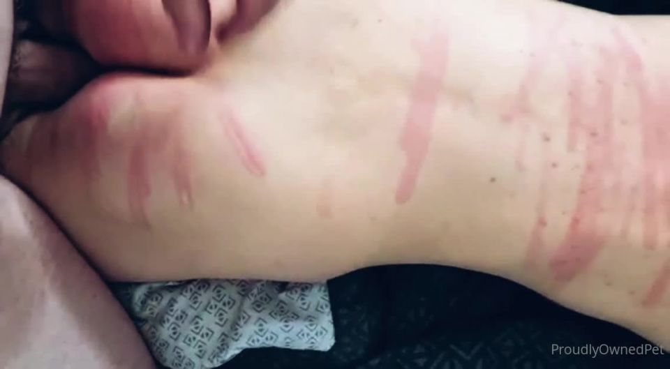 PSYCHOTHRILLERSFILMS - Ashley Laneproudlyownedpet-06-09-2021