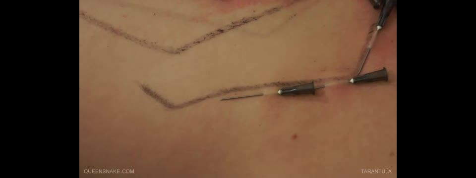 [GetFreeDays.com] 2011.10.01 QS Luna - Tarantula dee williams bdsm