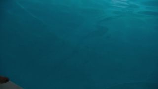 Malin Akerman – Billions s02e06 (2017) HD 1080p - (Celebrity porn)