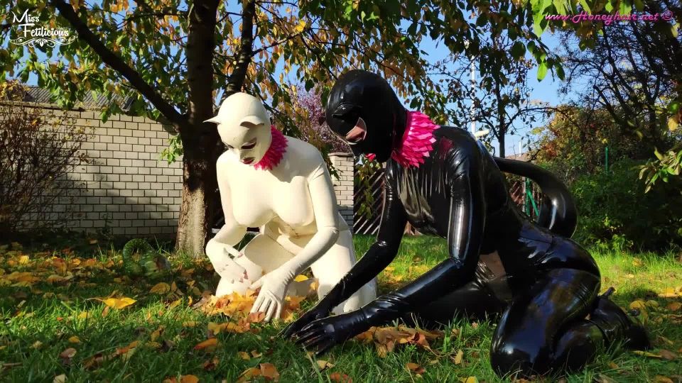 7126 Honeyhair - Kitties In The Garden