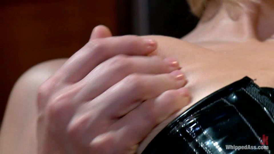 The Sexy Cat Burglar