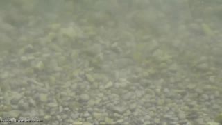 porn video 21 hardcore adult movies hardcore porn | Shadow.Horny.Nudists.1135 | beach sex