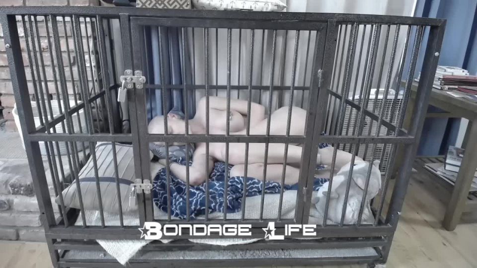 free xxx video 25 elise bdsm bdsm porn | Bondage Life: Nap Time With Greyhound (Release date: Aug. 25, 2021) Bondage | bdsm porn