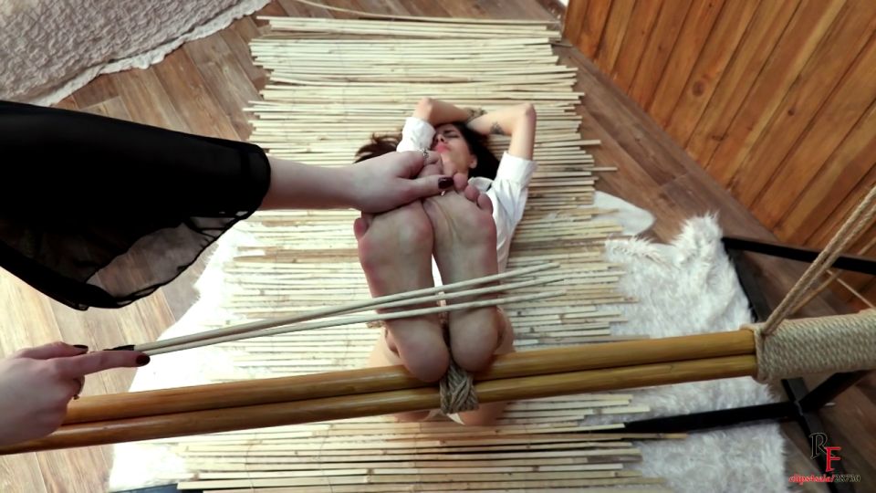 spank porn videos 10468.