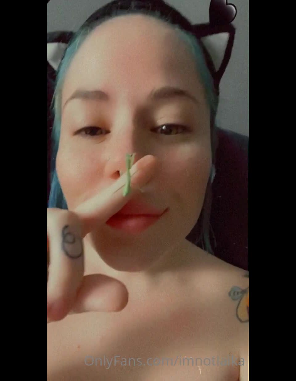 LAIKA - imnotlaika () Imnotlaika - cuteness overload ft baby oji nbsp 01-08-2020