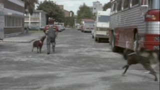 La pulquería 2 (1982) - (Vintage)